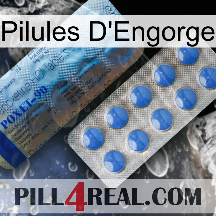 Engorge Pills 40